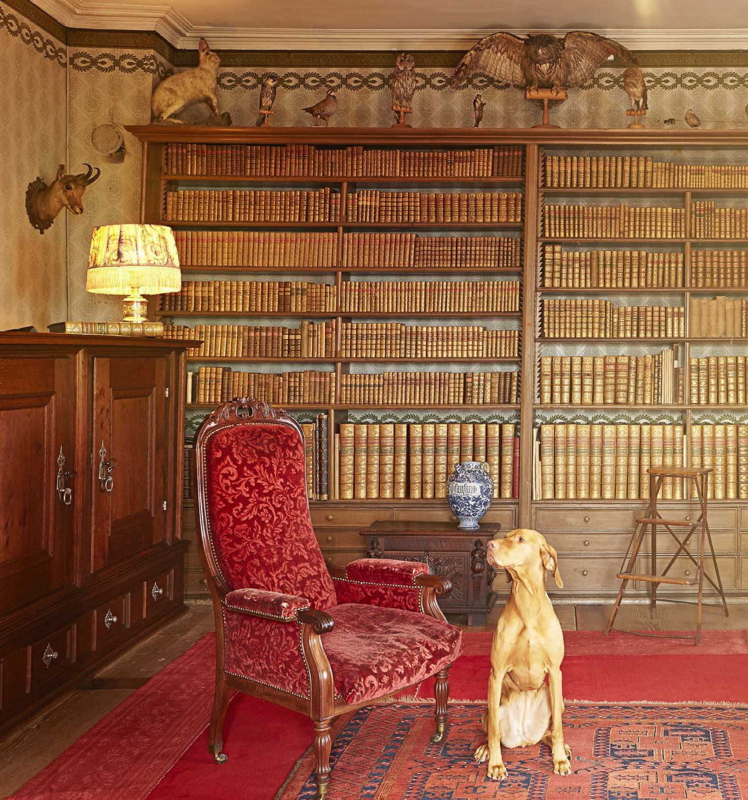Die Bibliothek von Schloss Rümligen: 400 Objekte aus einem Berner Barockschloss